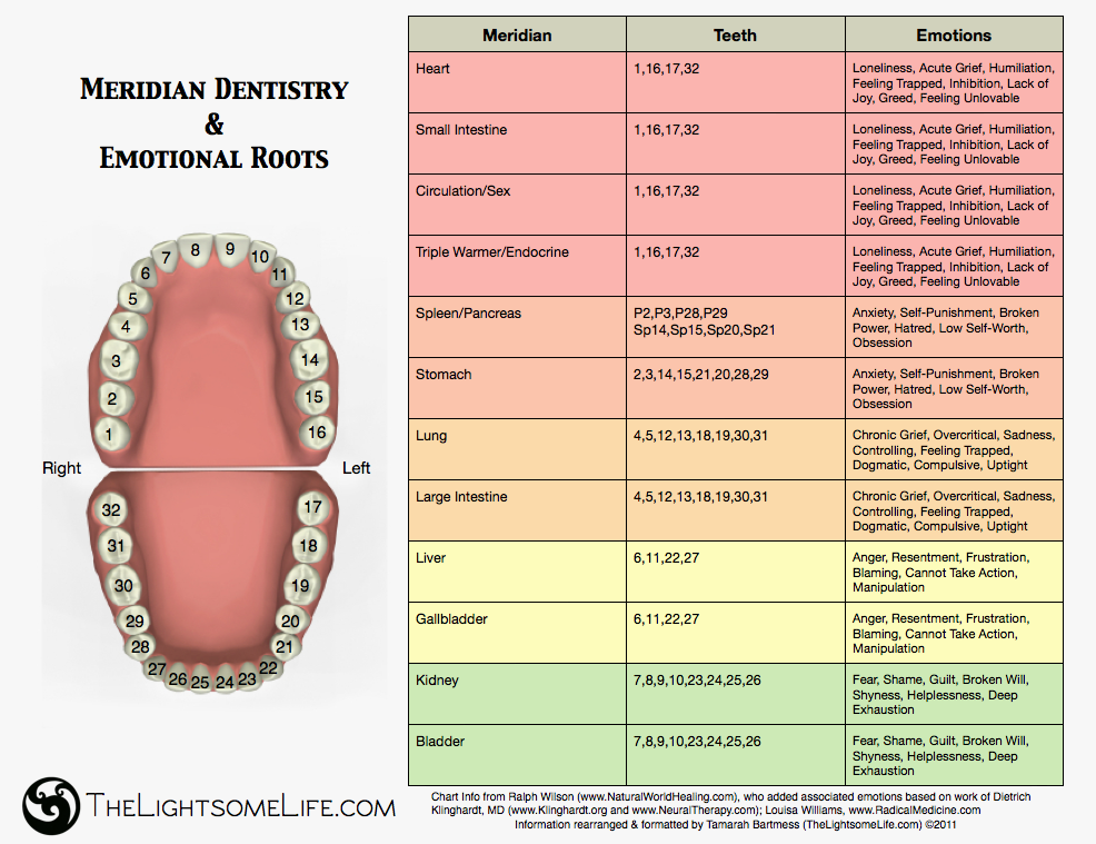 meridian-dental-charts