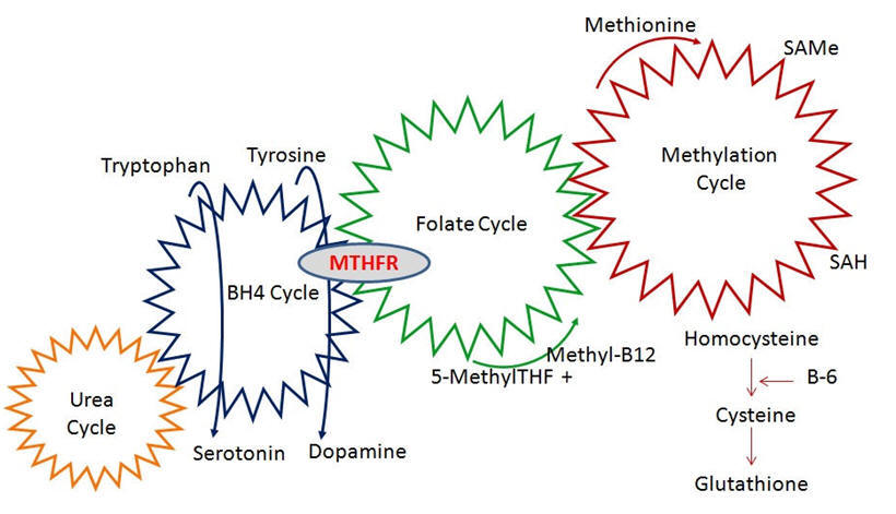 Mthfr mutation and nitrous oxide